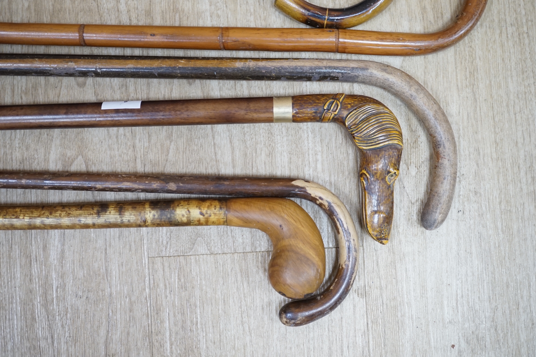 A group of eight various wood walking sticks including a carved ‘dog head’ stick, a cane and a shooting stick